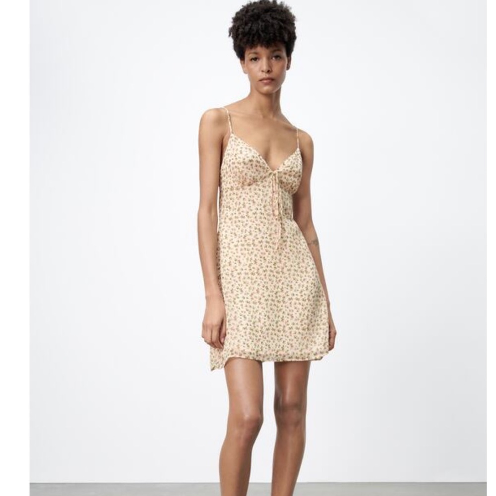 Zara Beige pink floral mini dress, size medium, low back